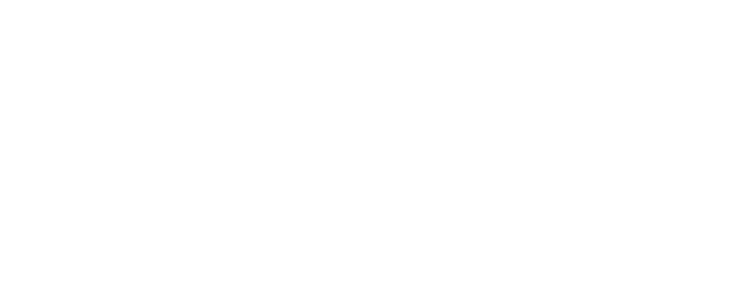 Sparrow Design & Plans