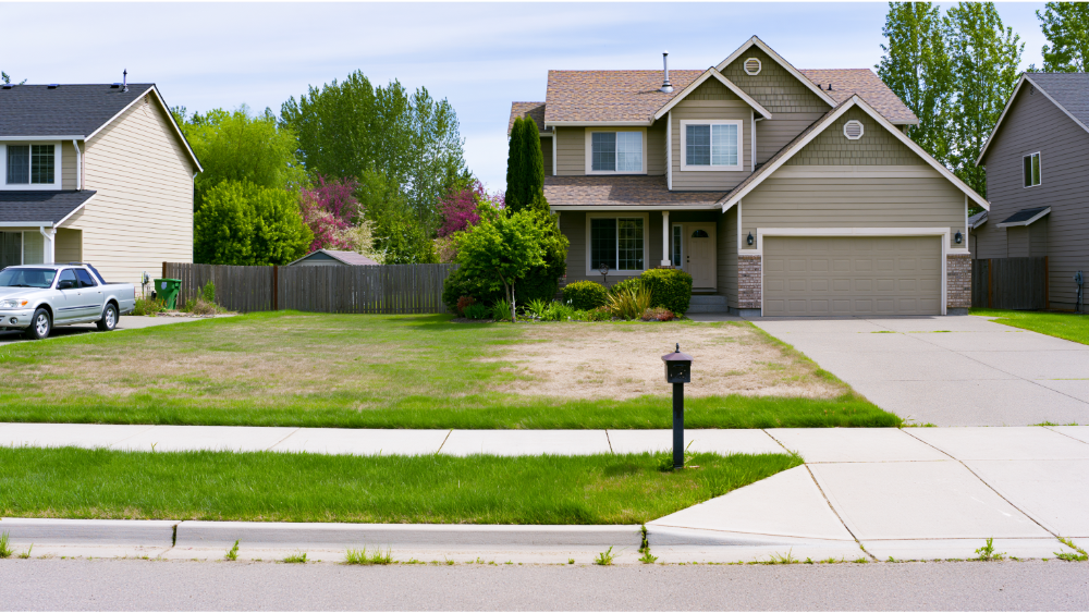 What the Building Department Needs to See on Your Site Plan